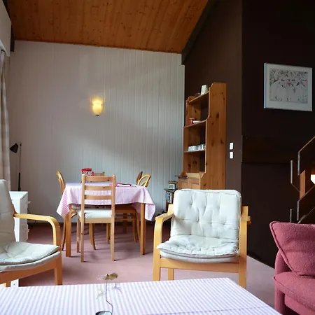 Chalet 6 Pers A Chatel, Proche Centre Et Remontees, Terrasse Et Equipements Modernes - Fr-1-676-135 *