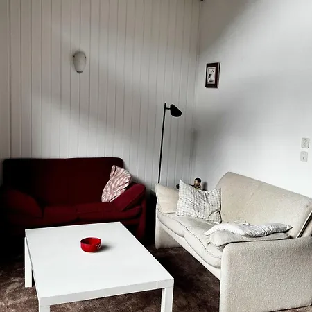 Chalet 6 Pers à Châtel, Proche Centre Et Remontées, Terrasse Et équipements Modernes - Fr-1-676-135 Châtel